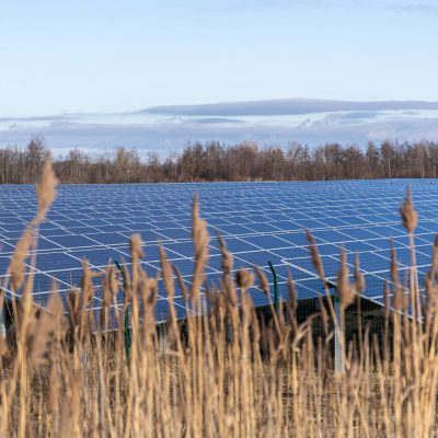 Electric farm with panels for producing clean ecologic energy.